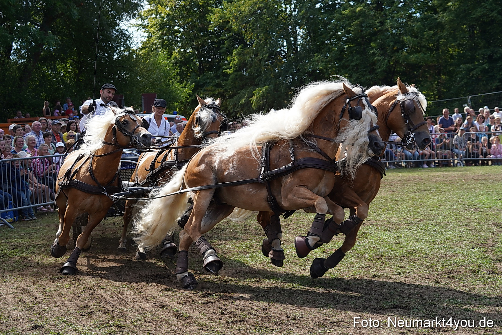 Pferde und Fohlenschau 2022 0259 